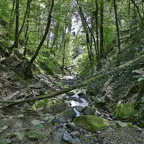 csm_rettenbachklamm-graz-graz-tourismus_916d592c1f.jpg